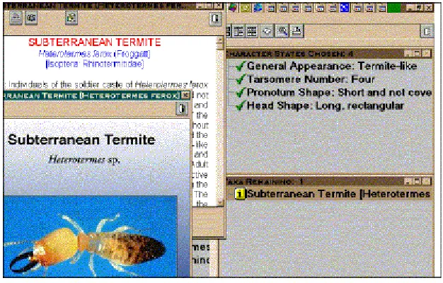 Figure 3. More detailed character state 