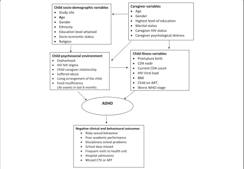 Fig. 1 Conceptual framework for clinical correlates of ADHD