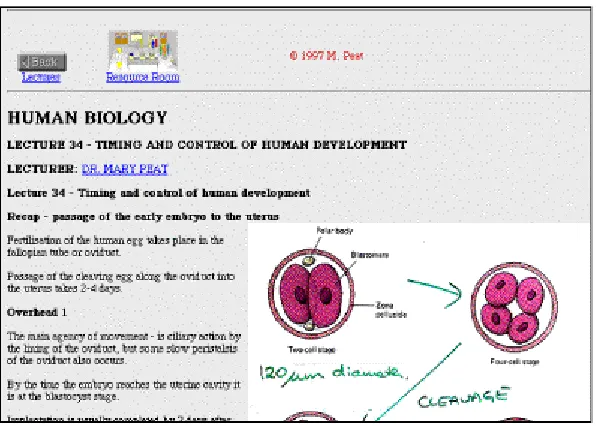 Figure 2. Example of lecture notes available from the Virtual Resources Room 