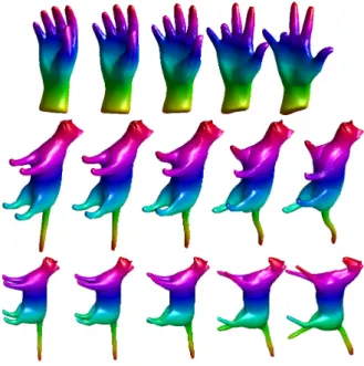 Figure 1.9 Each row shows an example of geodesic between a pair of objects (the starting and ending shapes).