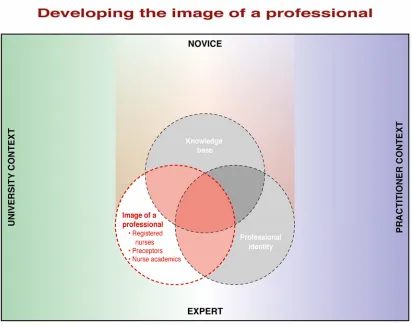 Figure 6.1.2  Image of a Professional 