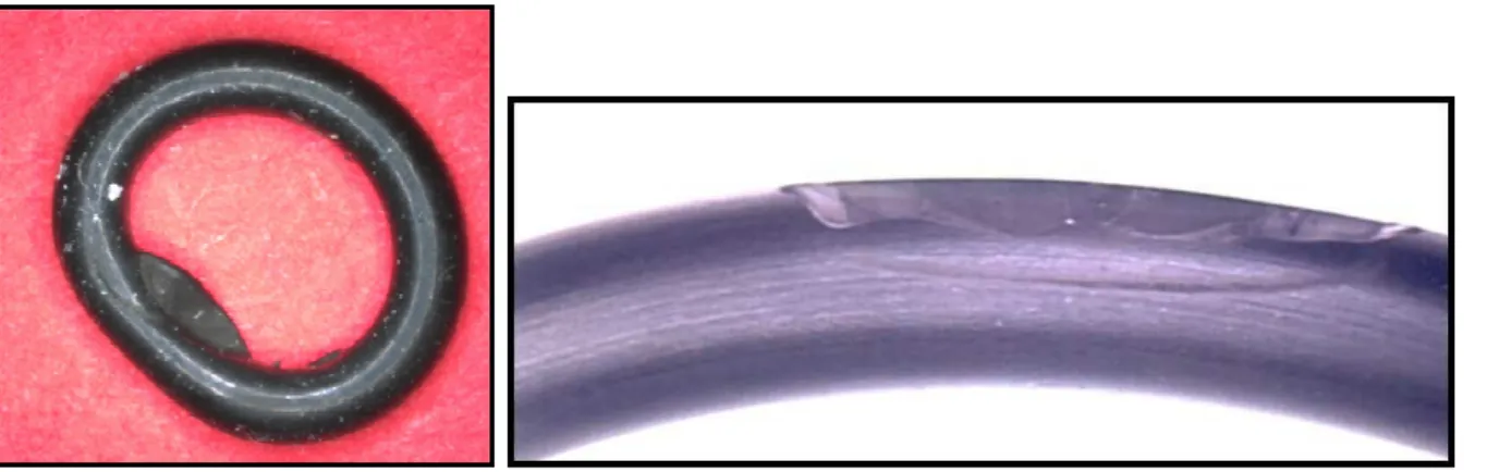 Fig. 8 and 9 show typical examples of assembly faults that usually occur due to a bad design  of  the  inlet  and/or  a  lack  of  lubrication