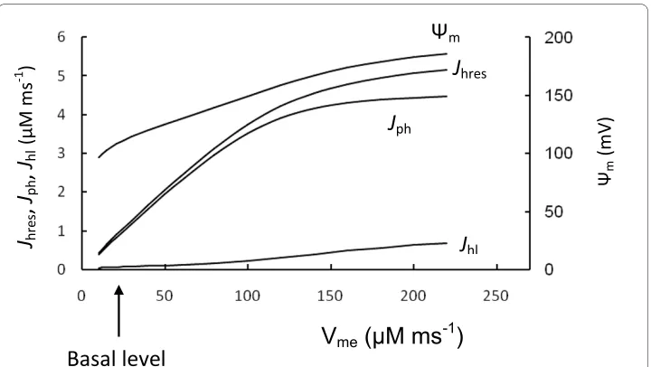 Figure 3 Comparison with muscle cell mitochondriasponse to the maximal rate of proton pumping through the ETC (V