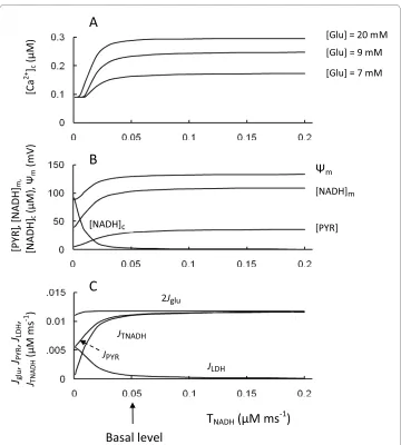 Figure 6 Model parameters in response to changes of the transport rate coefficient for NADH shuttles mM); C: 2 (TNADH)