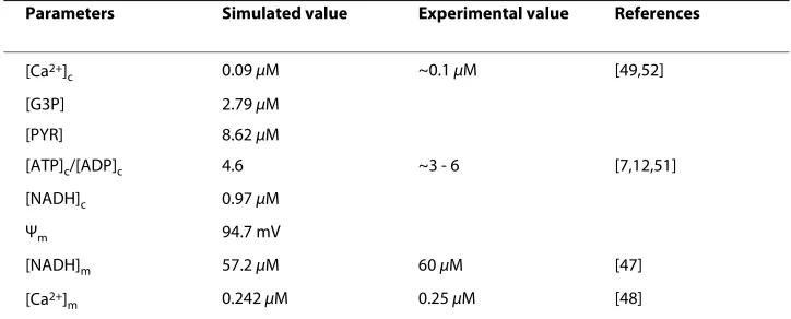 Table 1: Stimulated steady-state values for low glucose (5 mM) (see text for explanations)