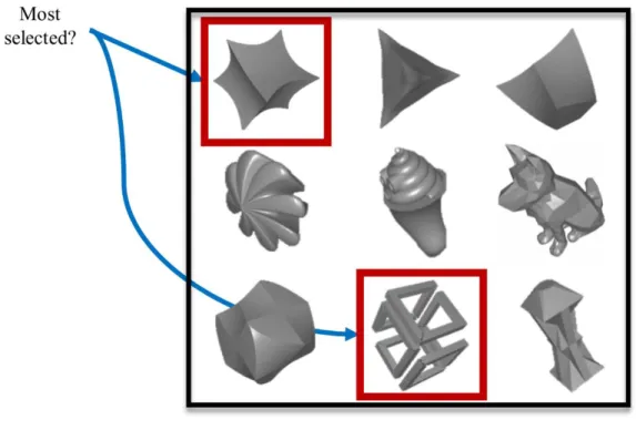 Figure 1.3 – Schelling mesh selections. An example of user-chosen Schelling  meshes out of a class of shapes