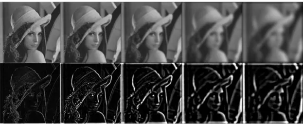 Figure 3.4 - Gaussian and Laplacian Pyramids obtained via a test image of Lena. 