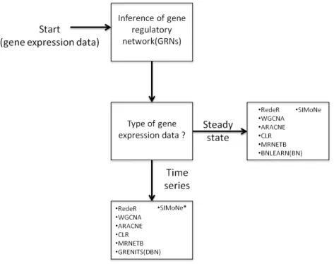 Figure 2.1: Flow chart for choosing a suitable network inference algorithm depending on the  type  of  gene  expression  data  used