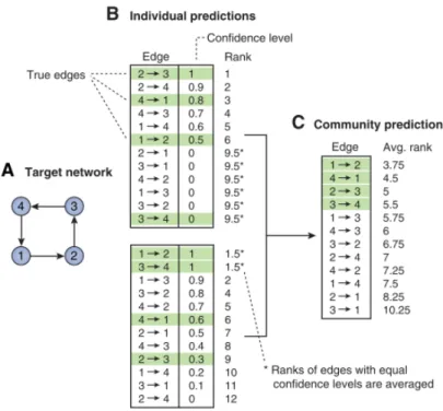 Figure 2.6: An example 4-gene true network (A) used for building a community consensus  network (C) from two sets of predictions (B) using the Borda count election method