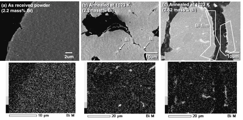 Fig. 2SEM-EDS observation on the cross section of as atomized powder and annealed powder of Cu-40Zn alloys with bismuth.