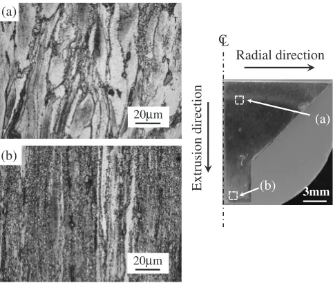 Fig. 2Microstructure of an as-received AZ31-1.5Ca alloy.