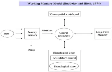Figure 1. Baddeley and Hitch’s Model 