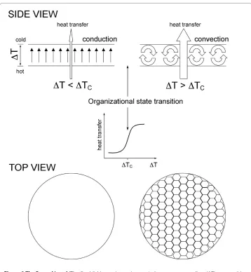 Figure 2 The Benard instabilityliquid layer and conduction is replaced by convection (organizational state #2), leading to a stepwise increase in the rate of heat transfer through the layer