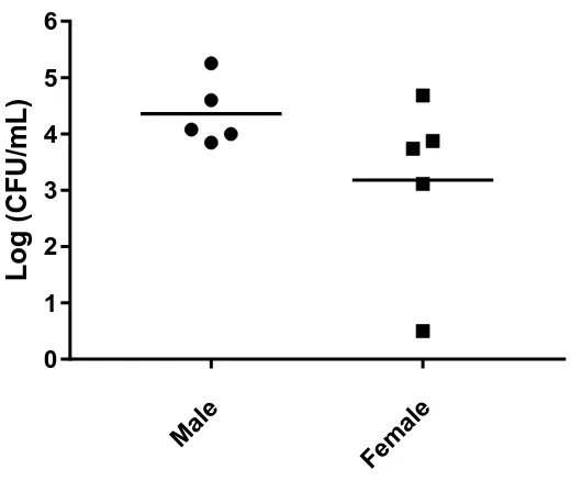 Figure 1.7 Bacterial count in the middle ear of female and male mice 3 days after intranasal bacterial challenge