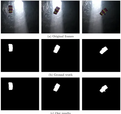 Figure 2.8: Qualitative results of SegTrack “parachute” video sequence.
