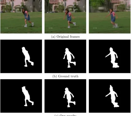 Figure 2.9: Qualitative results of SegTrack “girl” video sequence.