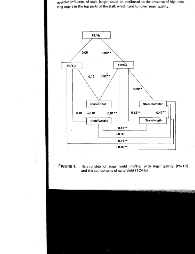 FIGURE  1.  Relationship  of  sugar  yield  (PS/Ha)  with  sugar  quality  (PS/TC)  and the components of cane yield (TCIHa) 