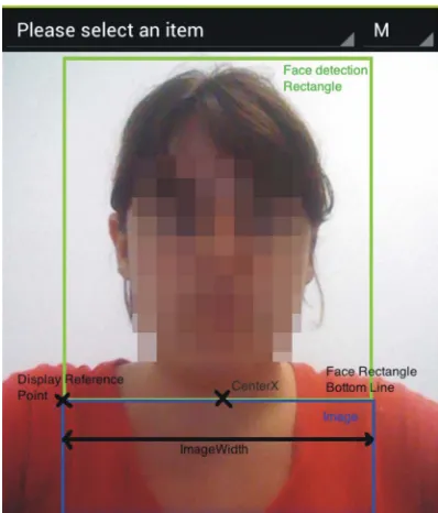 Figure 12. VFR graphic interface. 