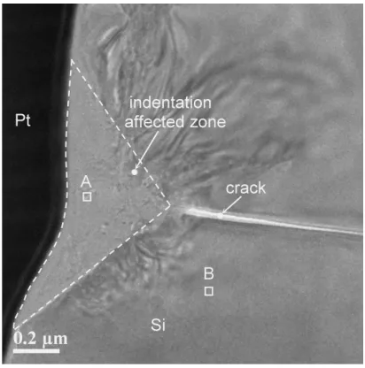 Fig. 4Cross-sectional TEM micrograph of specimen indented to max-imum load of 40 mN.