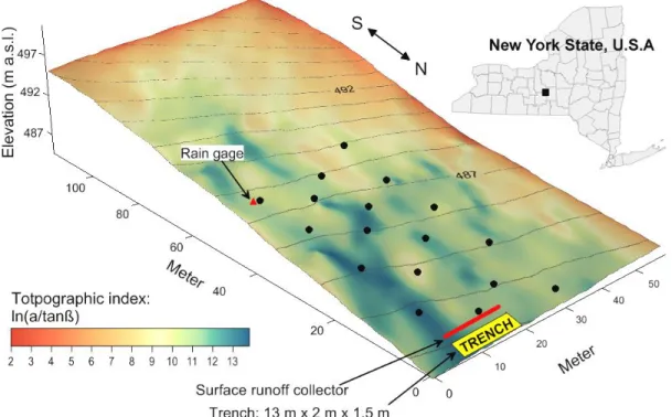 Figure 3.1: Location of study hillslope in central New York State, U.S.A. Black dots  indicate locations of water level loggers