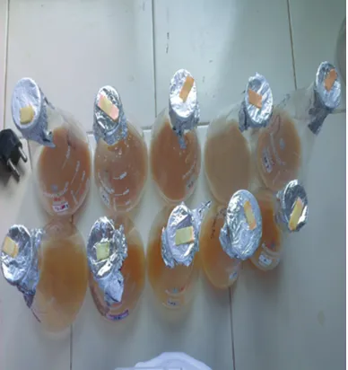 Figure 4: Calcium chloride test