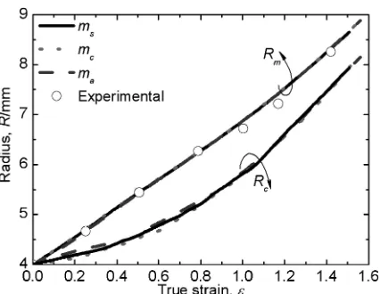 Fig. 12Maximum radius Rm and contacting radius Rc as a function ofstrain from simulations (solid line: instantaneous friction coeﬃcient, ms;dotted line: the constant friction coeﬃcient with a value of 0.65, mc;dashed line: average friction coeﬃcient as a function of strain, ma) and theexperimental results of maximum radius at 1273 K (open circles).