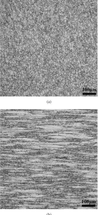 Fig. 1Optical micrographs of undeformed Al-Sc alloy specimen in: (a)transverse direction; (b) longitudinal direction.