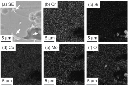 Figure 4 shows the SEM image and EDS maps of0Zr sintered in Ar: (a) SE image, (b) Cr map, (c) Si map,