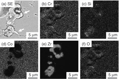 Fig. 5Elemental mapping images of 0.5Zr sintered in Ar: (a) SE image, (b) Cr map, (c) Si map, (d) Co map, (e) Zr map, and (f) O map.