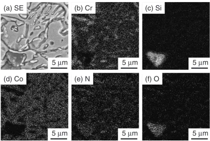 Fig. 8Elemental mapping images of 0Zr sintered in N2: (a) SE image, (b) Cr map, (c) Si map, (d) Co map, (e) N map, and (f) O map.