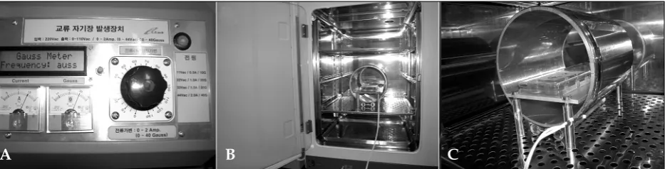 Fig. 1. EMF exposure system. (A) Control part. (B) Placement of the system and position of the sample in a cell cultureincubator