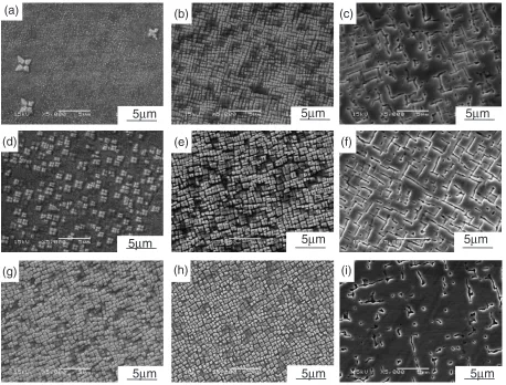 Fig. 2SEM images of microstructures of the alloys (a) 6.5Al, (b) 8.5Al, (c) 12.5Al, (d) 6.5Al+Nb, (e) 8.5Al+Nb, (f) 12.5Al+Nb,(g) 6.5Al+Ti, (h) 8.5Al+Ti, and (i) 12.5Al+Ti alloys