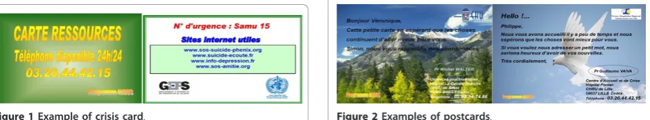 Figure 1 Example of crisis card.