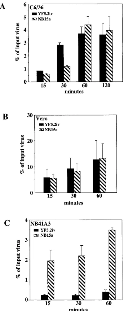 FIG. 7. Binding of parental YF5.2iv and NB15a viruses to culturedcells. Experimental details were as described in the text