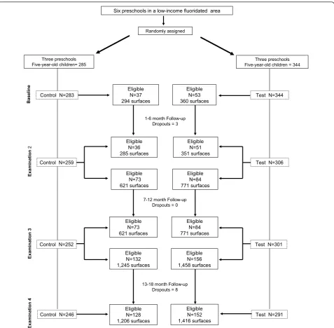 Figure 1 Flow of the participants through each stage.