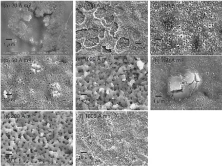 Fig. 1Surface microstructres of anodized TiO2. (a)–(f) and (g)–(h) anodized in 1.2 and 0.1 mol�L�1 sulfuric acid, respectively.