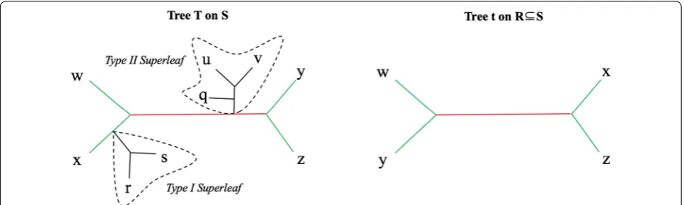 Fig. 1 Type I and Type II superleaves of a tree common leaf set) are colored green for shared, red for unique; all other edges are colored black