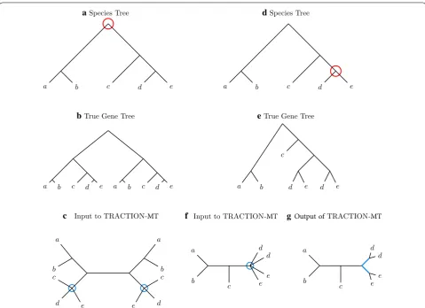 Fig. 3 Two cases where TRACTION-MT does not have good accuracy on multi-labeled gene trees