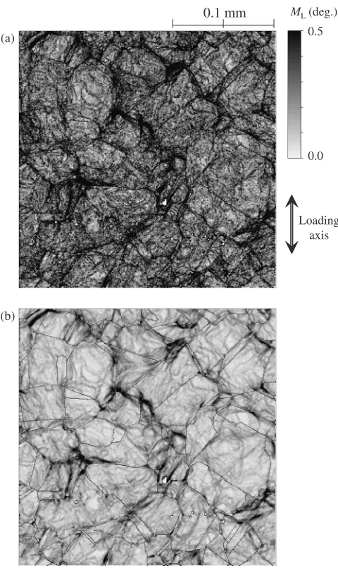 Fig. 3Local misorientation mapping for deformed stainless steel (plasticstrain: 4.9%, step size: 0.5 mm)
