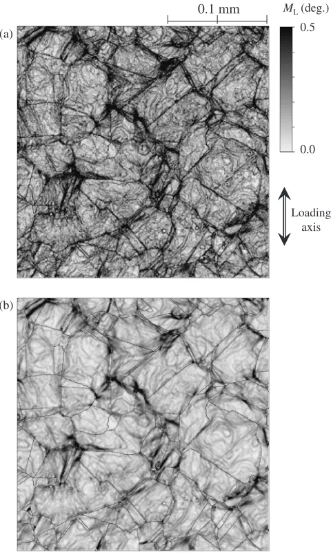 Fig. 6Local misorientation mapping for deformed stainless steel (plasticstrain: 4.9%, step size 0.5 mm, CCD camera pixel: ﬁne)