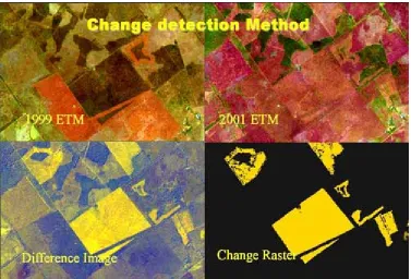 Figure 6.0: Example of Change Detection resultant images (SLATS, 2002)