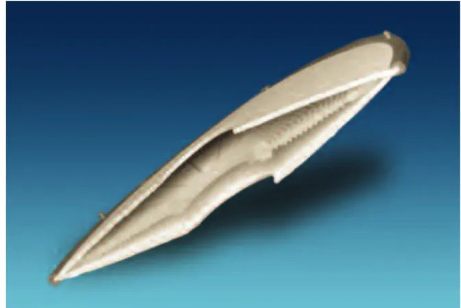 Table 1 indicates the factors which influence the retention rates of Pall depth filters