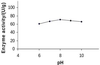 Fig. 13: Effect of pH on the activity of amylase