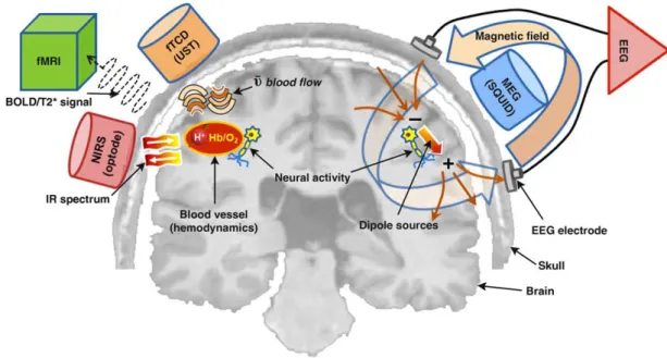 Figure 1.2: Schematic diagram of brain signal detection mechanisms. EEG measures the electrical potential differences on the scalp that are generated by cortical neural activity