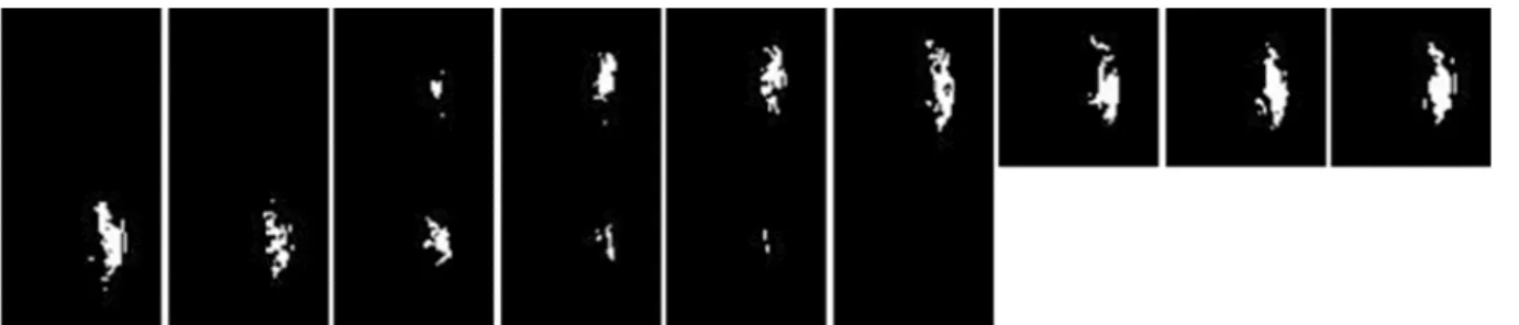 Figure 5. One parcel out of the 13 parcels, shown in Figure 4.