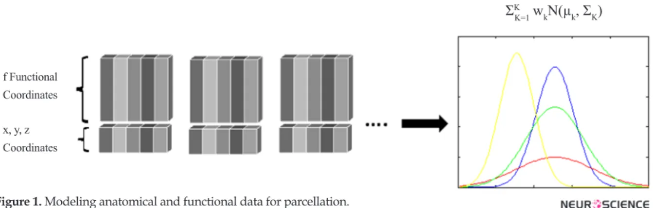 Figure 1. Modeling anatomical and functional data for parcellation.