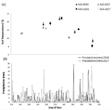 Figure 7. (A) Soil temperature measured in the field and (B) daily precipitation totals recorded close the study site during the study period in 2016 and 2017