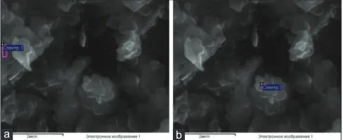 Figure 1: (a and b) Scanning electron microscope image of Nizhneuvelsky deposit clay fragment