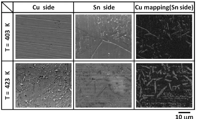Fig. 6SEM micrographs and EDX analysis of fractured surfaces of joints after tensile test (without surface modiﬁcation).