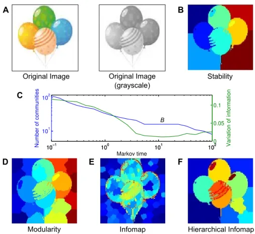 Figure 4.2. | Image segmentation via community detection. A Original image in color and the grayscale version used in the analysis